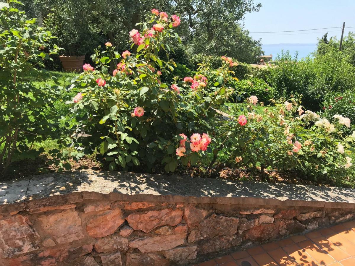 Appartamento Lago Di Garda Albisano Тори дел Бенако Екстериор снимка